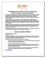 Wireless Fabric Patents — Executive Summary